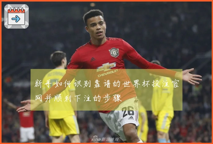 新手如何识别靠谱的世界杯投注官网并顺利下注的步骤